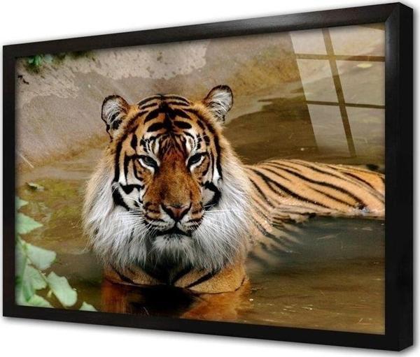 Tablosan Vahşi Doğa Kaplan Çerçeveli Cam Tablo 30x40 cm - Image 1