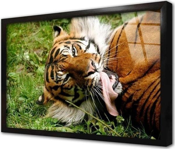 Tablosan Vahşi Doğa Kaplan Çerçeveli Cam Tablo 30x40 cm - Image 1