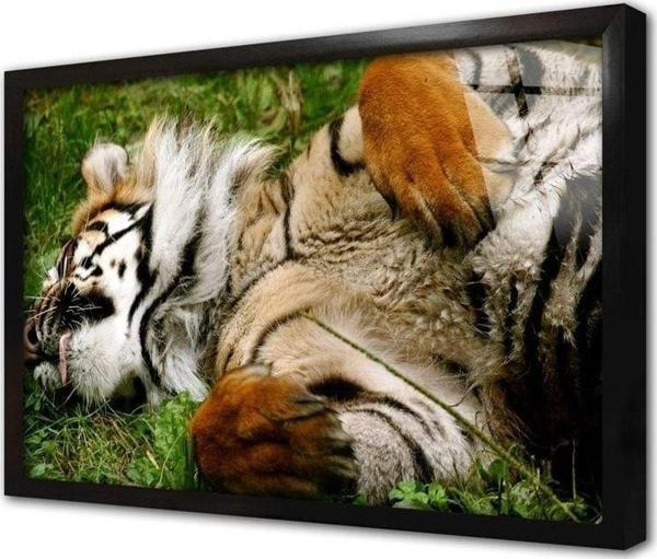 Tablosan Vahşi Doğa Kaplan Çerçeveli Cam Tablo 30x40 cm - Image 1