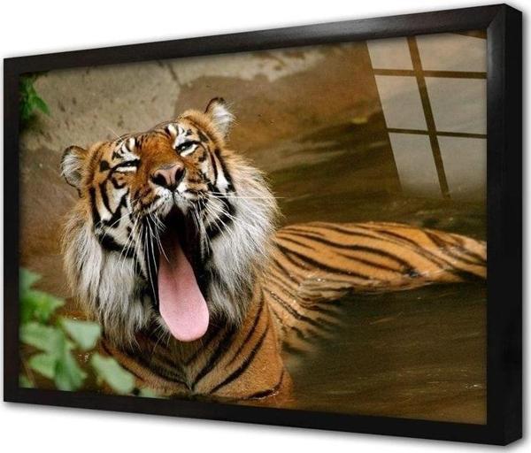 Tablosan Vahşi Doğa Kaplan Çerçeveli Cam Tablo 30x40 cm - Image 1