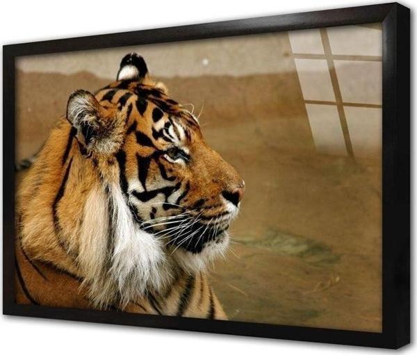 Tablosan Vahşi Doğa Kaplan Çerçeveli Cam Tablo 30x40 cm - Image 1