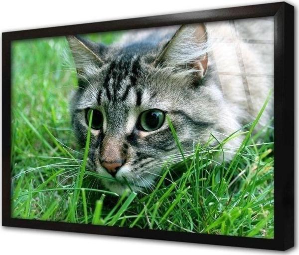Tablosan Kedi Çerçeveli Cam Tablo 30x40 cm - Image 1