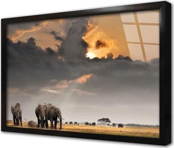 Tablosan Safari Çerçeveli Cam Tablo 30x40 cm - Image 1