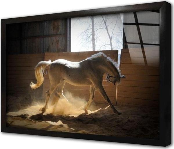 Tablosan Çiftlikte At Çerçeveli Cam Tablo 60x90 cm - Image 1