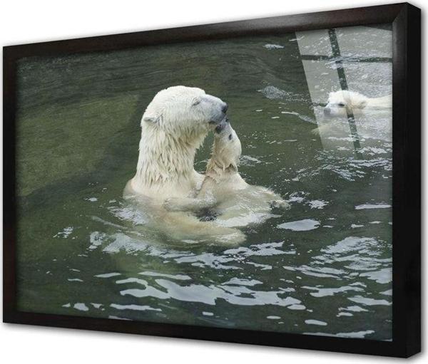 Tablosan At Çerçeveli Cam Tablo 60x90 cm - Image 1