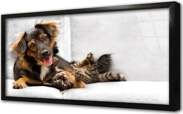 Tablosan Köpek Ve Kedi Çerçeveli Cam Tablo 20x30 cm - Image 1