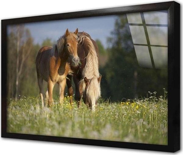 Tablosan At Çerçeveli Cam Tablo 60x90 cm - Image 1