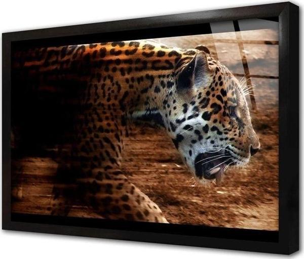 Tablosan Vahşi Doğa Kaplan Çerçeveli Cam Tablo 20x30 cm - Image 1
