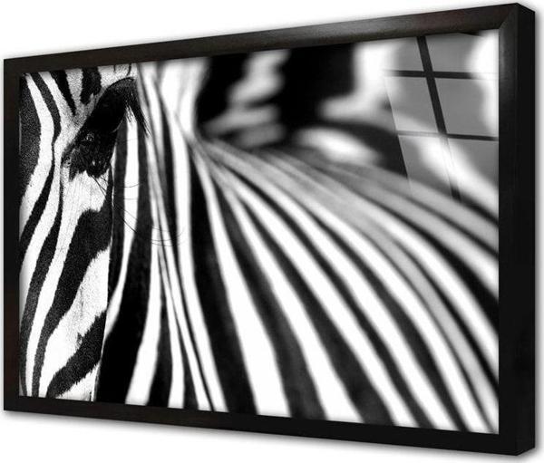 Tablosan Yakın Çekim Zebra Çerçeveli Cam Tablo 20x30 cm - Image 1