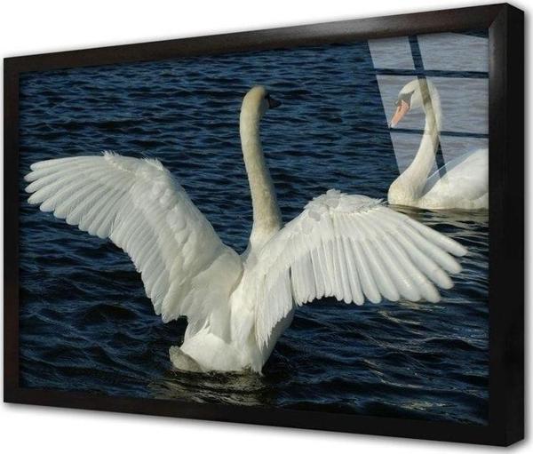 Tablosan Beyaz Kuğu Çerçeveli Cam Tablo 60x90 cm - Image 1