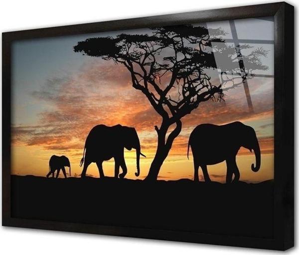 Tablosan Safari Çerçeveli Cam Tablo 60x90 cm - Image 1