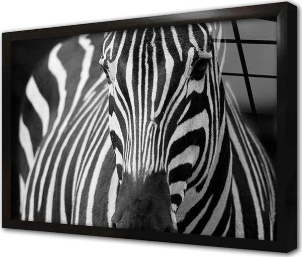 Tablosan Yakın Çekim Zebra Çerçeveli Cam Tablo 20x30 cm - Image 1