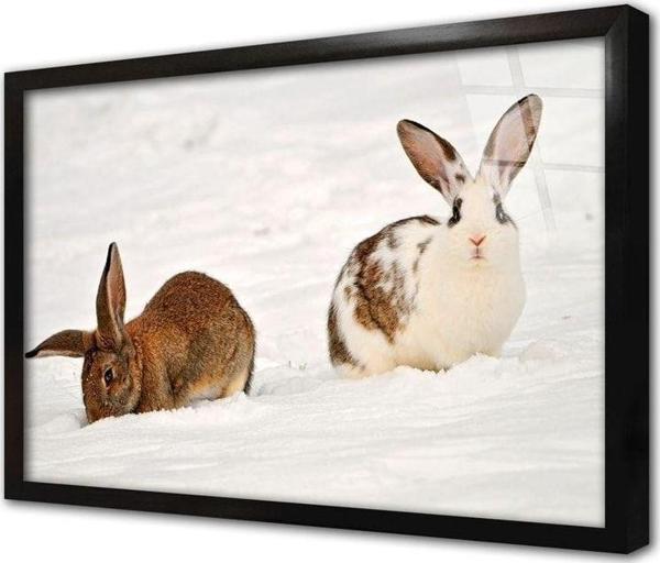 Tablosan Karda Tavşan Çerçeveli Cam Tablo 60x90 cm - Image 1