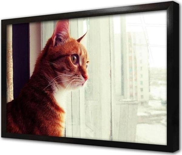 Tablosan Sarı Kedi Çerçeveli Cam Tablo 60x90 cm - Image 1