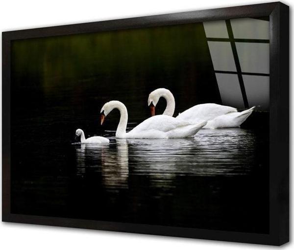 Tablosan Beyaz Kuğu Çerçeveli Cam Tablo 20x30 cm - Image 1