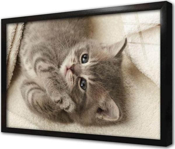 Tablosan Kedi Yavrusu Çerçeveli Cam Tablo 20x30 cm - Image 1