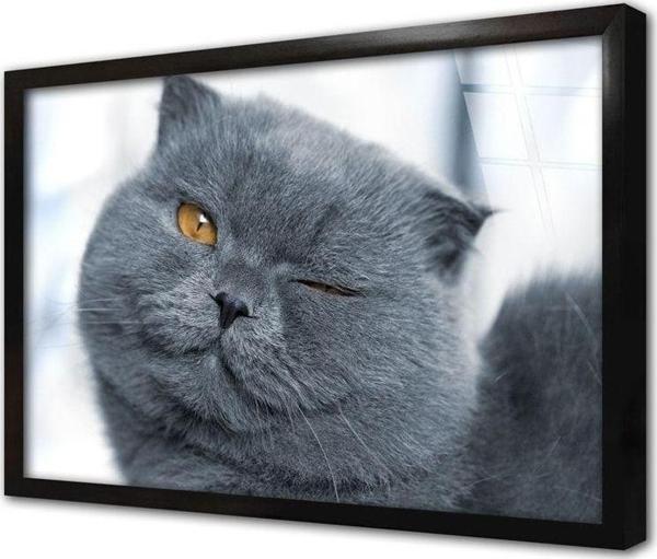 Tablosan Gri Kedi Çerçeveli Cam Tablo 20x30 cm - Image 1