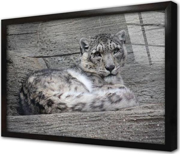 Tablosan Vahşi Doğa Kaplan Çerçeveli Cam Tablo 20x30 cm - Image 1