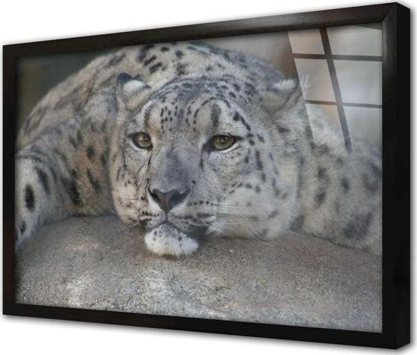 Tablosan Vahşi Doğa Kaplan Çerçeveli Cam Tablo 20x30 cm - Image 1