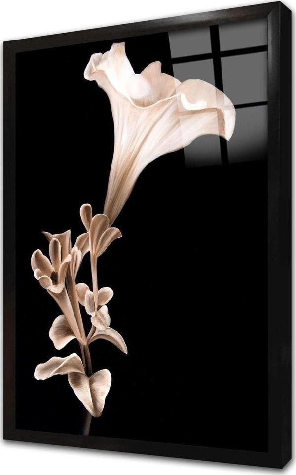 Tablosan Siyah Beyaz Çiçek Çerçeveli Cam Tablo 50x70 cm - Image 1