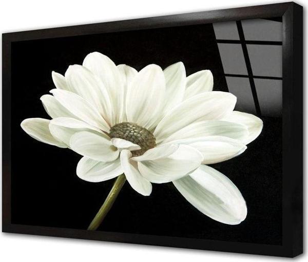 Tablosan Siyah Beyaz Çiçek Çerçeveli Cam Tablo 50x70 cm - Image 1