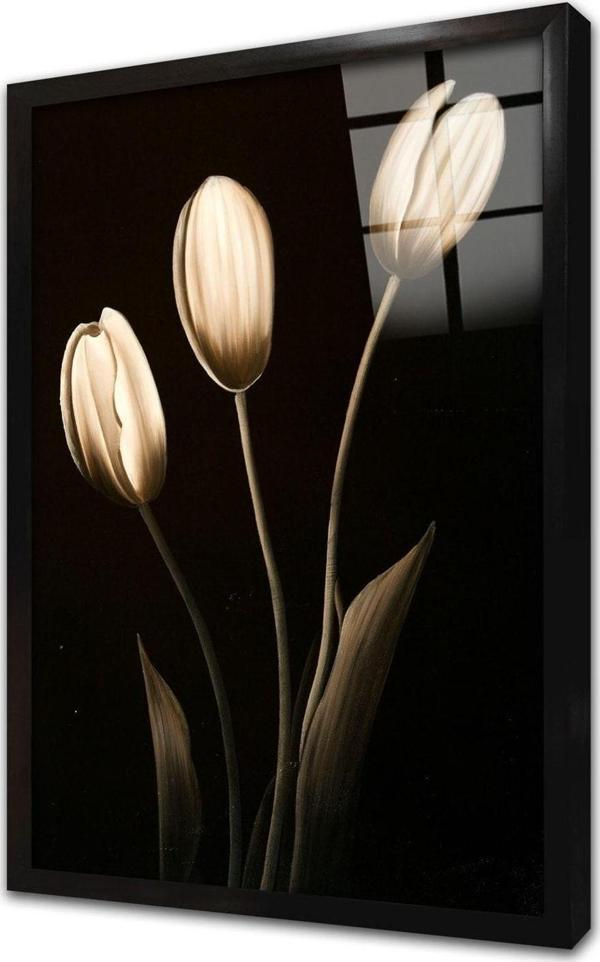 Tablosan Siyah Beyaz Çiçek Çerçeveli Cam Tablo 50x70 cm - Image 1