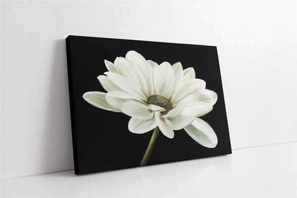 Tablosan Siyah Beyaz Çiçek Kanvas Tablo - Image 1