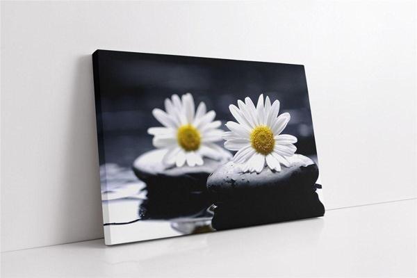 Tablosan Spa Taşları Ve Papatya Kanvas Tablo - Image 1