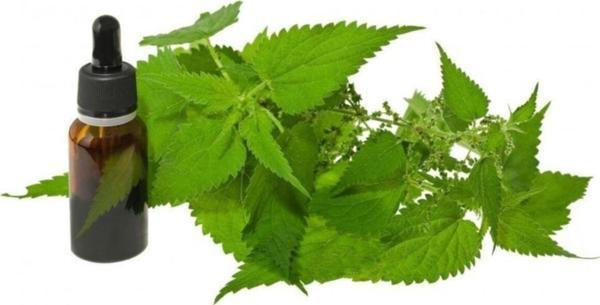 Mimoza Isırgan Tohumu Yağı 20 Ml - Image 1