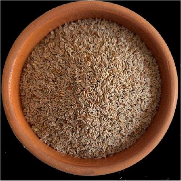 Akdeniz Vitamin Karnıyarık Otu Tohumu 250 gr - Image 1