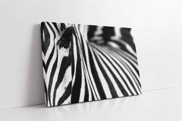 Tablosan Yakın Çekim Zebra Kanvas Tablo - Image 1