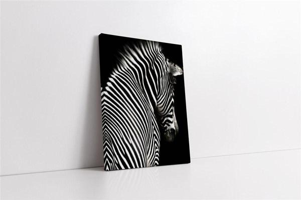 Tablosan Yakın Çekim Zebra Kanvas Tablo - Image 1