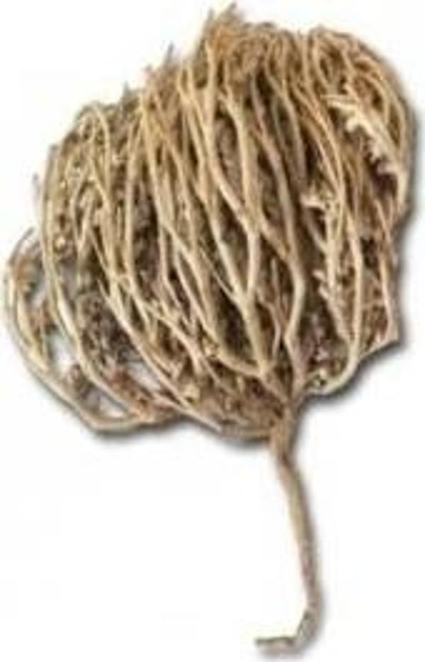 Meryem Ana Eli Otu 1 Adet - Image 1