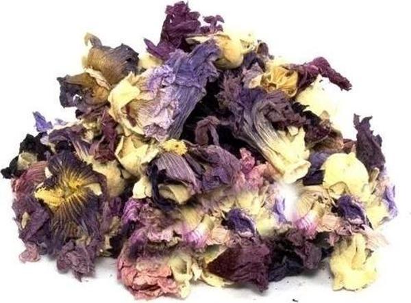 Gül Hatmi 25 Gr (Paket-Bitki) 1Adet - Image 1