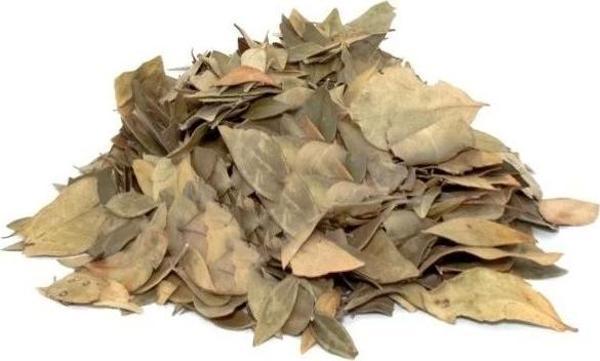 Lokman Aktar Mabet Ağacı Yaprağı 10 G - Image 1