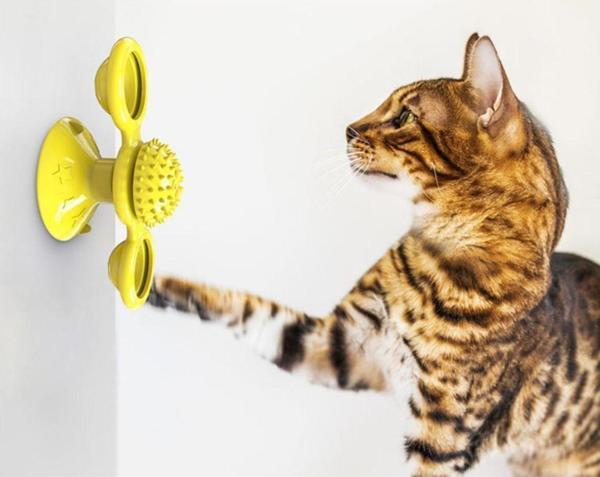 Raikou Kedi Oyuncağı Dönerli - Image 1