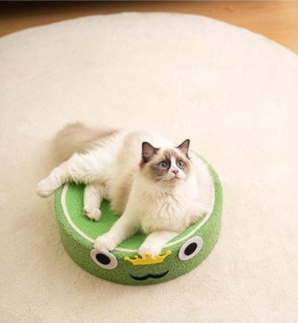 Raikou Kedi Tırmalama Alanı - Image 1