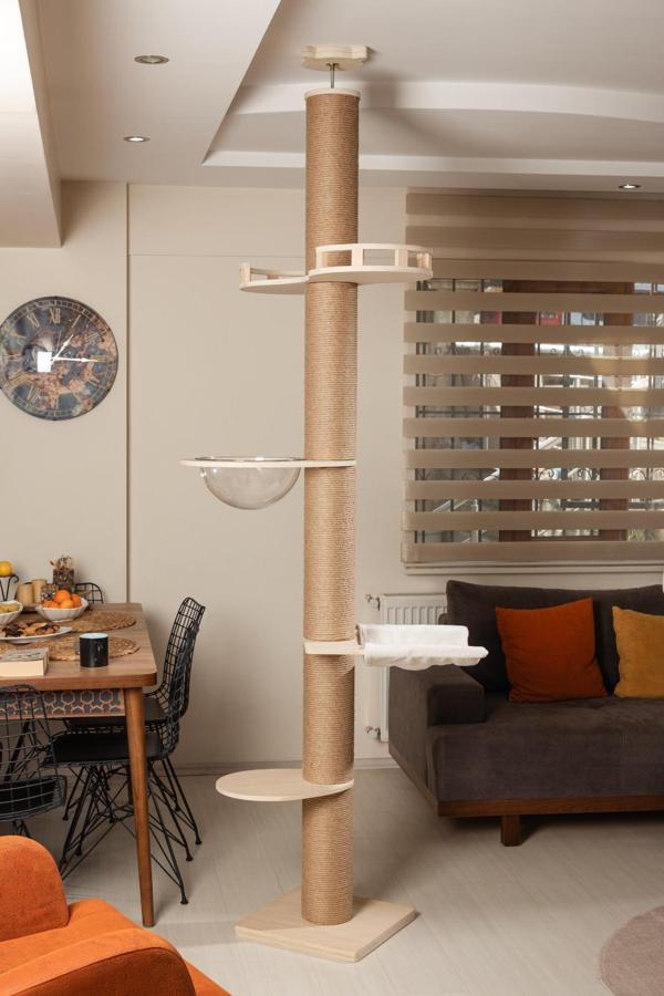Raikou Robin 265 Cm Yüksekliğinde Kedi Tırmalama Ağacı –Meşe Ahşap, Balkon Ve Uzay Kapsülü - Image 1
