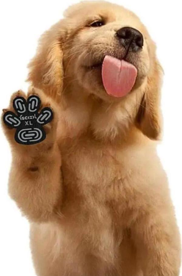 Raikou Su Geçirmez Kaymaz Aşınmaya Dayanıklı Köpek Pençe Koruyucu - Image 1