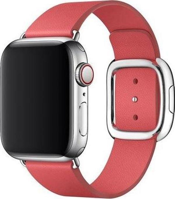 Apple Watch 40 mm Klasik Kayış Yavruağzı Pembe - Image 1