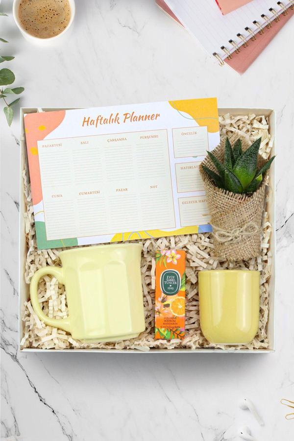 Trendmiya Haftalık Planner & Modern Sarı Kupa & Mini Kolonya & Sarı Saksı & Canlı Sukulent Çiçek Hediye Seti - Image 1