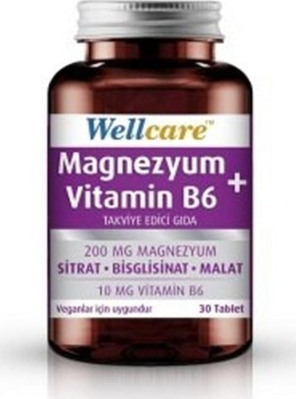 Wellcare Magnezyum + Vitamin B6 Takviye Edici Gıda 30 Tablet - Image 1