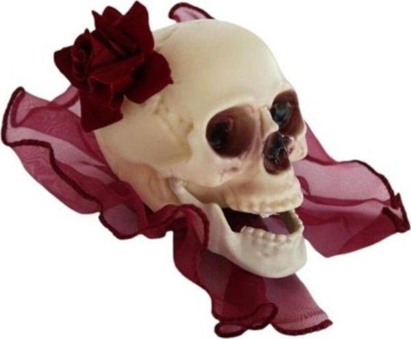 HALLOWEEN KURU KAFA TOKA BORDO - Image 1