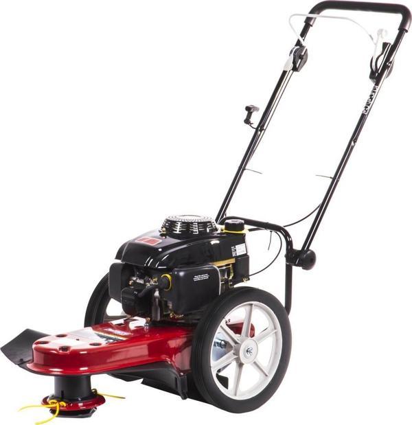 Palmera PT160 Tekerlekli Motorlu Tırpan Benzinli 5.5Hp - Image 1