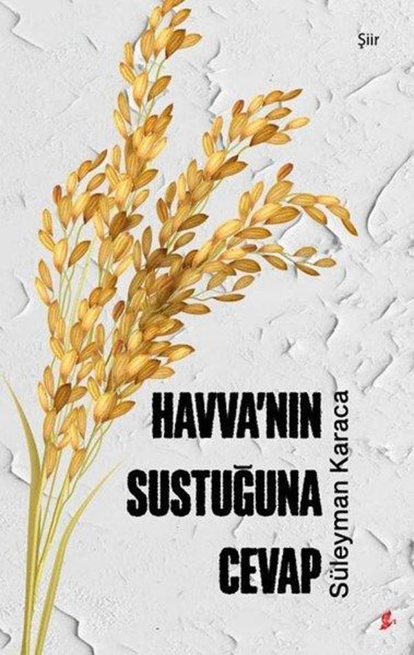 Havva'nın Sustuğuna Cevap - Okur Kitaplığı - Image 1