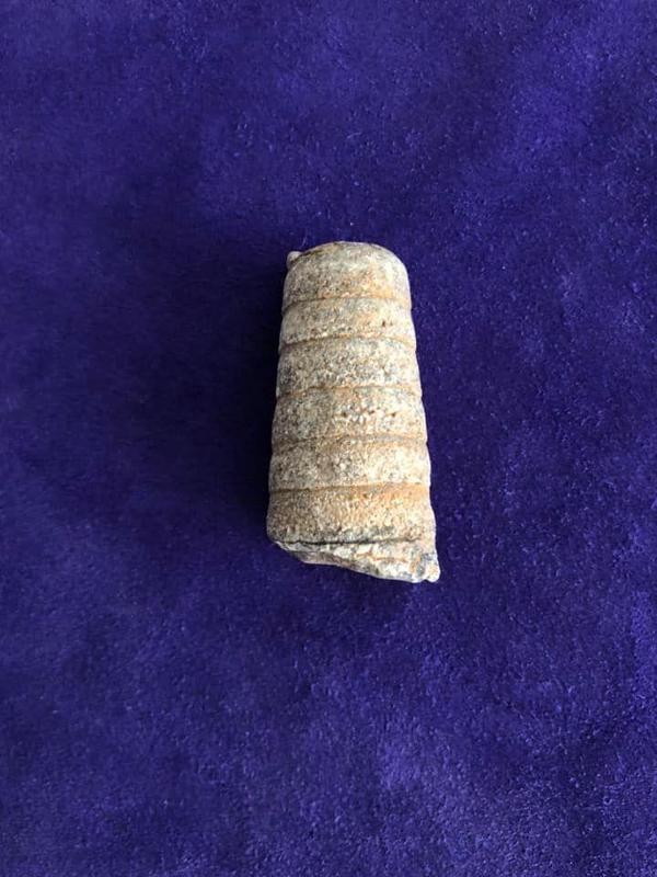 Kafadanbacaklı Baculites Fosil 45 Gram - Image 1