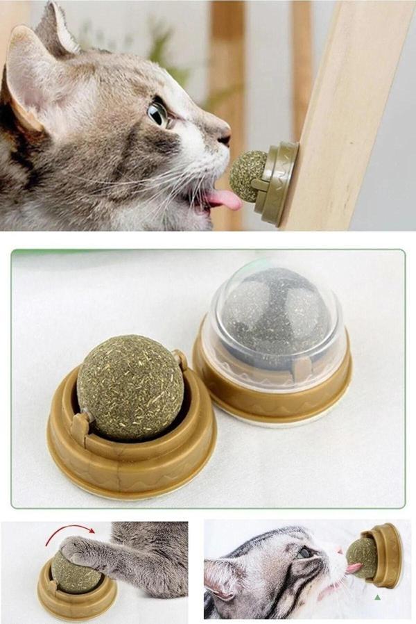 Tineke Catnipli Yenilebilir Kedi Nanesi Otu Yalama Oyun Topu Oyuncağı - Image 1