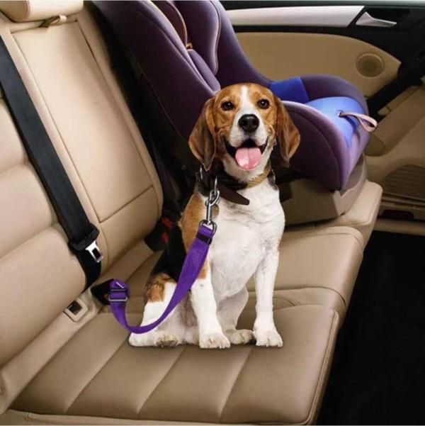 Tineke Evcil Hayvan Araç Emniyet Kemeri Kedi Köpek Araba Oto Tasması Oto Aksesuarları Mor - Image 1