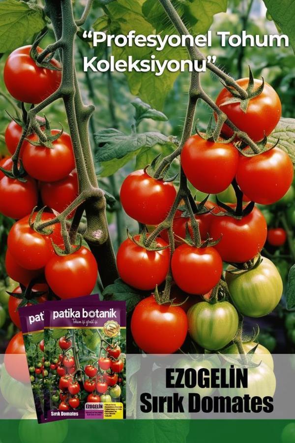 10 Adet Ezogelin Kiraz / Cherry Domates Tohumu-SIRIK - Image 1