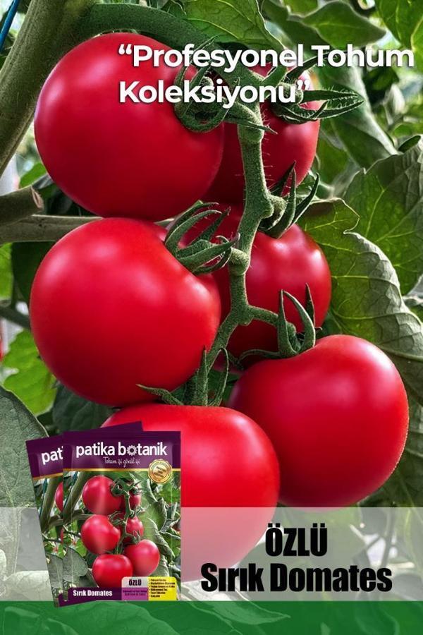 10 Adet Özlü Domates Tohumu - Image 1